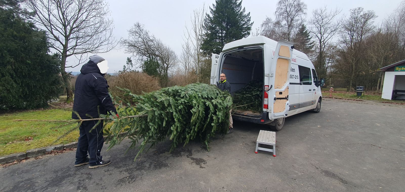 Weihnachtsbäume werden für das Wildfreigehege Hellenthal aus dem Transporter geladen