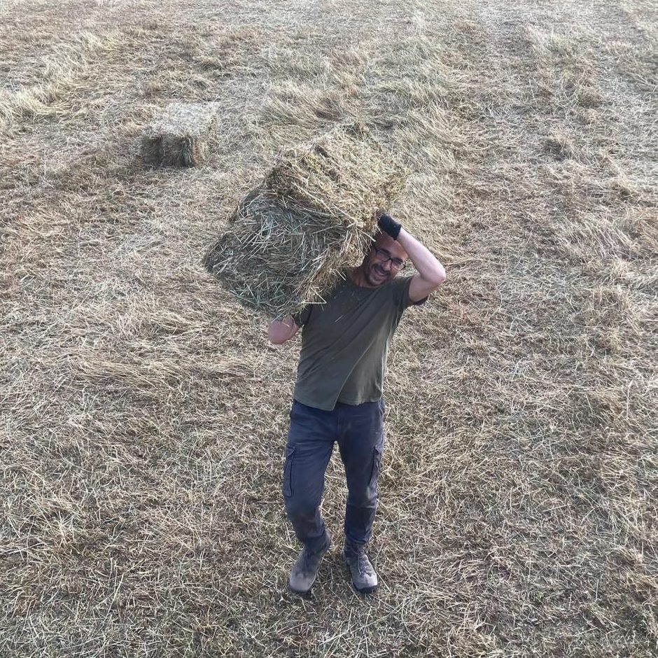 Ein Mann trägt lächelnd einen Heuballen über der Schulter über ein abgemähtes Feld